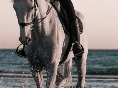 El Gaucho